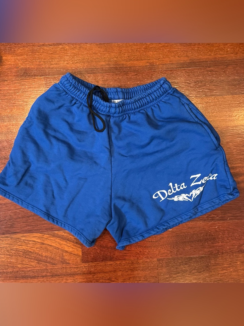 Delta Zeta DZ Sorority Blue Shorts
